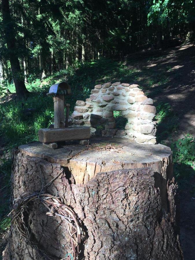 Waldnest Odenwald 호텔 외부 사진