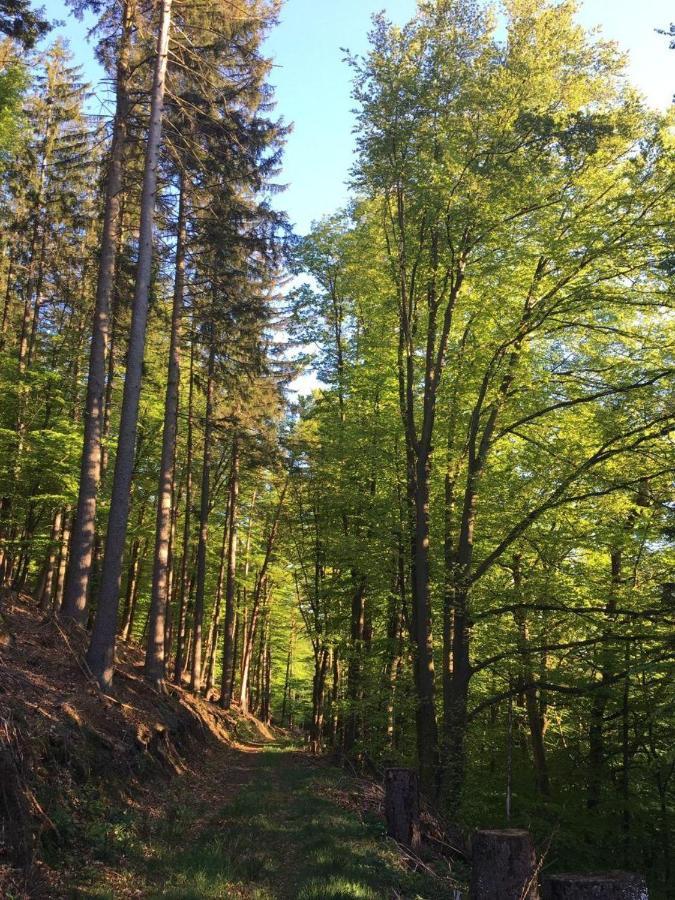 Waldnest Odenwald 호텔 외부 사진