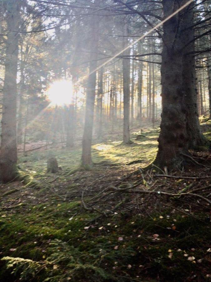 Waldnest Odenwald 호텔 외부 사진
