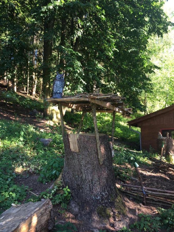 Waldnest Odenwald 호텔 외부 사진