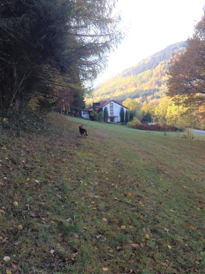 Waldnest Odenwald 호텔 외부 사진